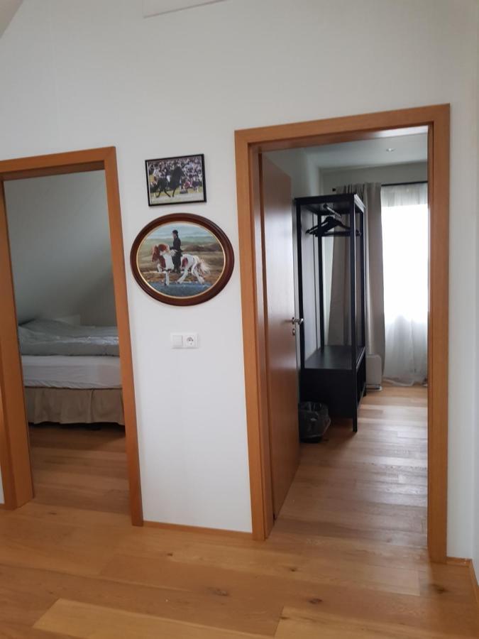 Efri-Gegnisholar Hotel Селфос Екстериор снимка